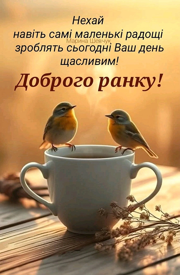 Виктория Старожилова on we.ua