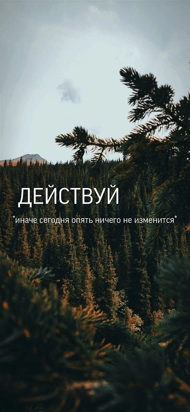 #мотивирующиеобои #действуй #действуйиначесегодняопятьничегогнеизменится #лес #обоинателефонлес #обоинаайфонлес - Андрій Данилюк on we.ua