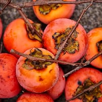 Хурмушка на we.ua