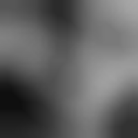 Анастасія Чижикова на we.ua