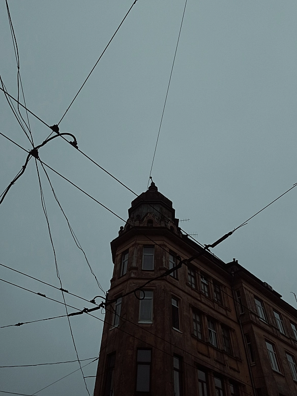 Тиць небесного - Марця on we.ua