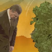 Banderivka на we.ua