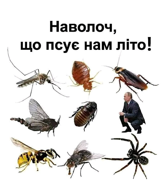 Йому не шкода ні своїх, ні інших.Йому байдужі гіркі людські сльози.Він тільки прагне привілеїв більших.Його політика - шантаж... - Леонід Биков на we.ua