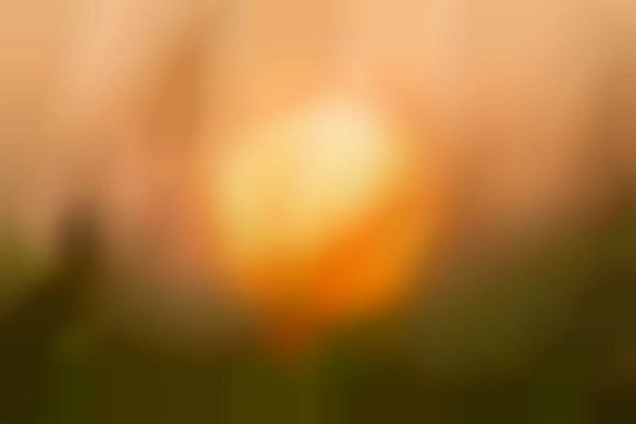 Коли зійде зоря зі сходуІ розпочнеться день новий,То кожний має знов нагодуПереконатись, що живий,Що ніч ця вдало пролетіла... - на we.ua