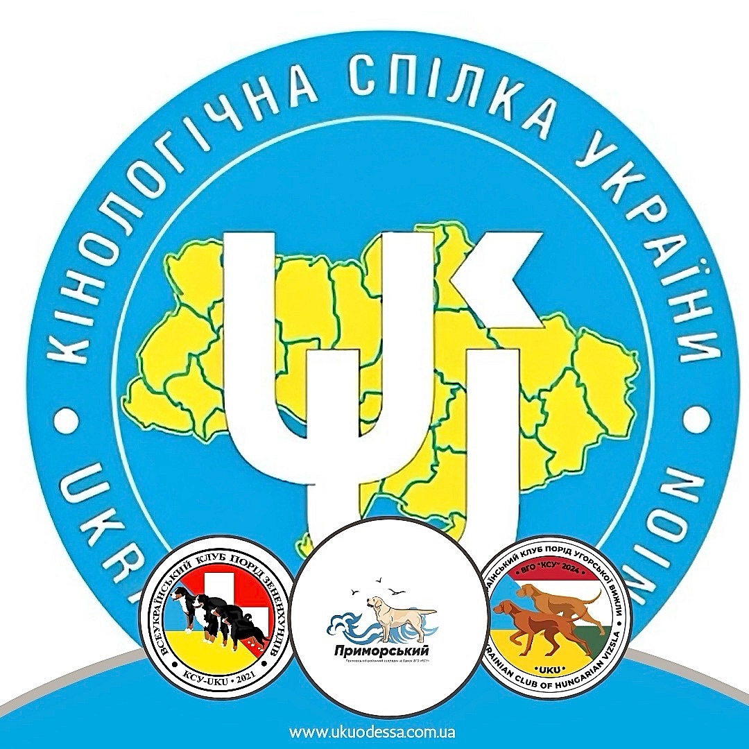 РО КСУ «ПРИМОРСКИЙ» - Віталій БЕЛЬСЬКИЙ на we.ua