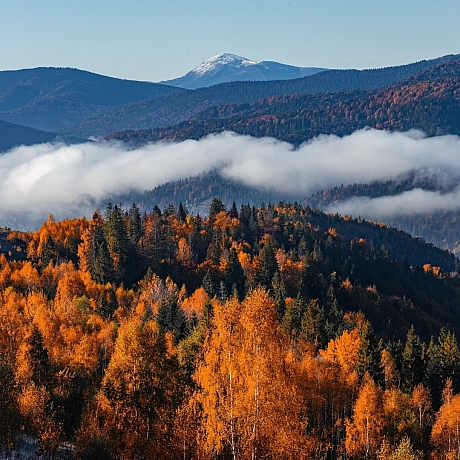 Юрій Українець: Фото Карпат - Українець на we.ua