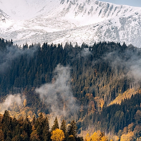 Юрій Українець: Фото Карпат - Українець на we.ua