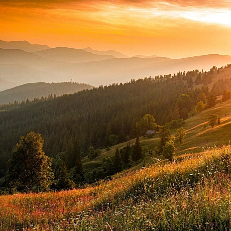 Юрій Українець: Фото Карпат - Українець на we.ua
