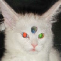 колючий светр на we.ua