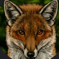 Луцик Андрій на we.ua