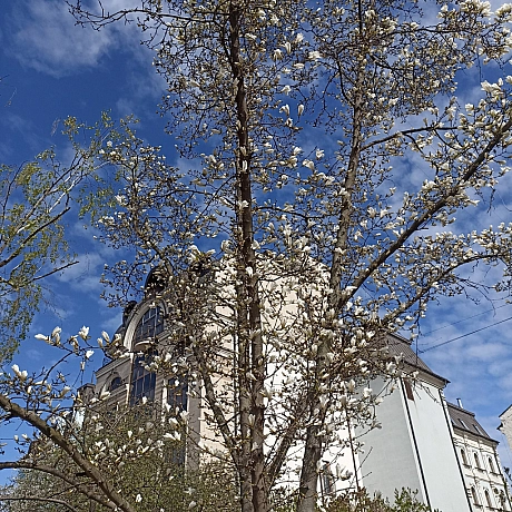 Весна - Оксанка Ісаєва на we.ua