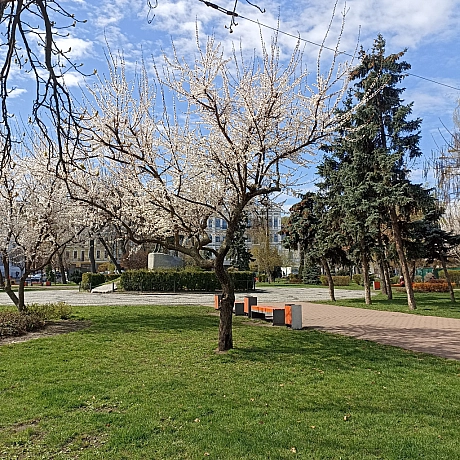Весна - Оксанка Ісаєва на we.ua