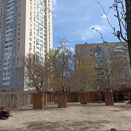 KYIVZOO - Оксанка Ісаєва на we.ua