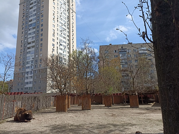 KYIVZOO - Оксанка Ісаєва на we.ua