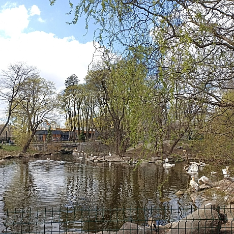 KYIVZOO - Оксанка Ісаєва на we.ua