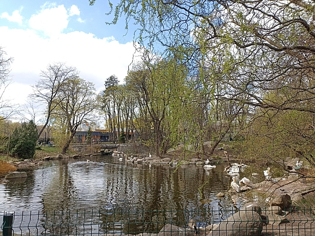 KYIVZOO - Оксанка Ісаєва на we.ua