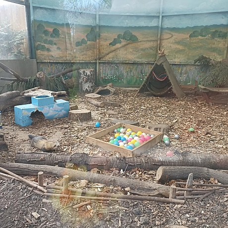 KYIVZOO - Оксанка Ісаєва на we.ua