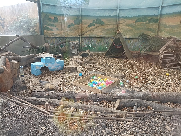 KYIVZOO - Оксанка Ісаєва на we.ua