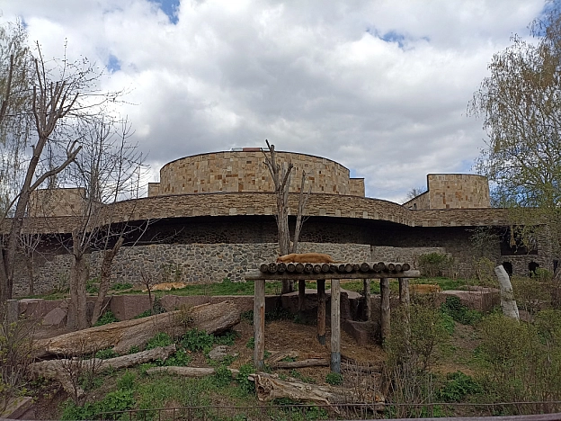 KYIVZOO - Оксанка Ісаєва на we.ua