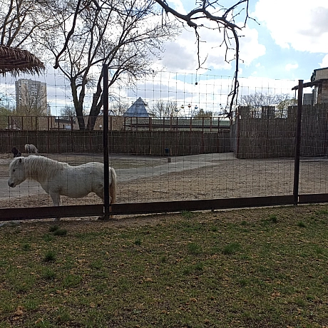 KYIVZOO - Оксанка Ісаєва на we.ua