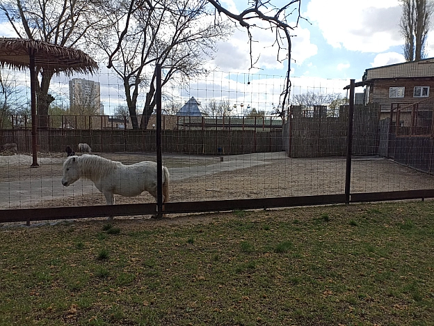 KYIVZOO - Оксанка Ісаєва на we.ua