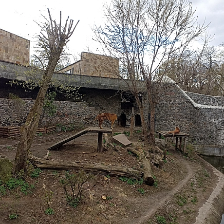 KYIVZOO - Оксанка Ісаєва на we.ua