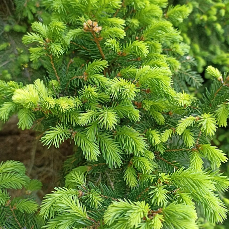 Ботсад на початку травня 🌸 - Оксанка Ісаєва на we.ua