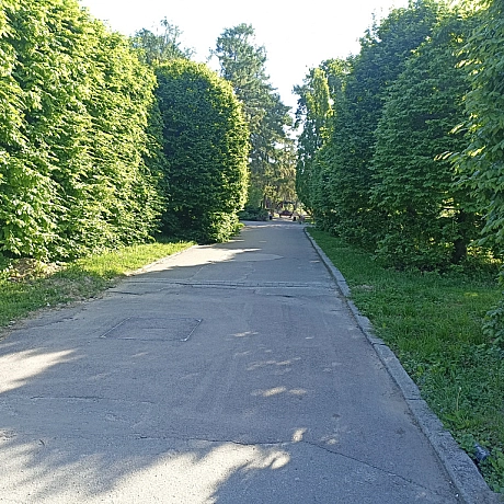 Ботсад на початку травня 🌸 - Оксанка Ісаєва на we.ua