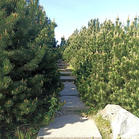 Ботсад на початку травня 🌸 - Оксанка Ісаєва на we.ua