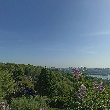 Ботсад на початку травня 🌸 - Оксанка Ісаєва на we.ua