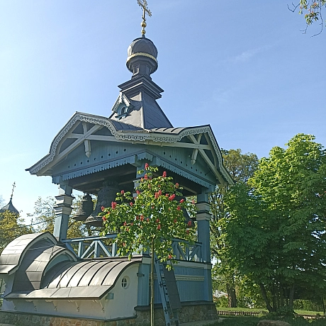 Ботсад на початку травня 🌸 - Оксанка Ісаєва на we.ua