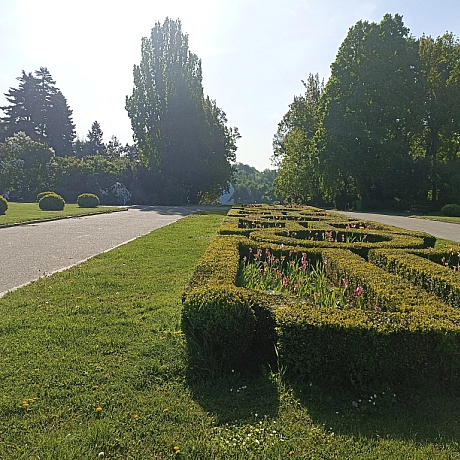 Ботсад на початку травня 🌸 - Оксанка Ісаєва на we.ua