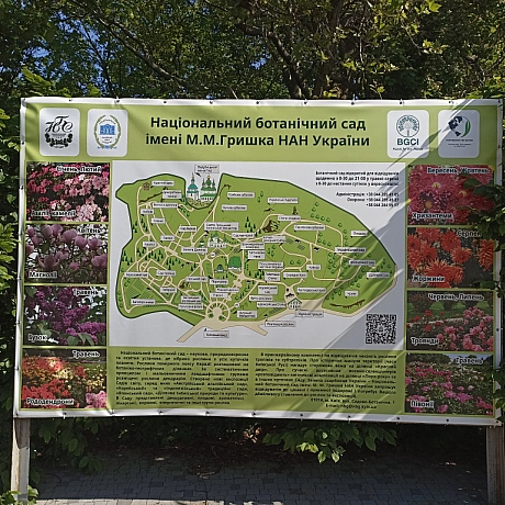 Ботсад на початку травня 🌸 - Оксанка Ісаєва на we.ua