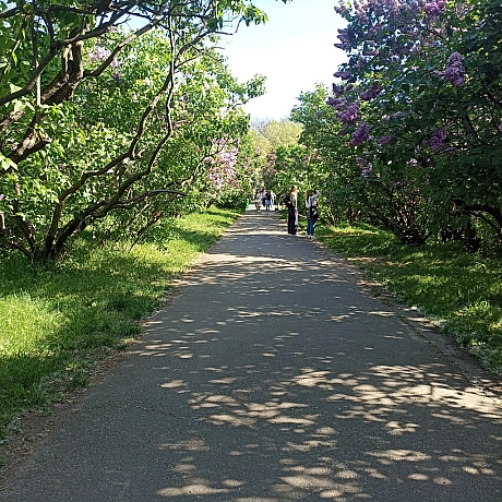 Ботсад на початку травня 🌸 - Оксанка Ісаєва на we.ua