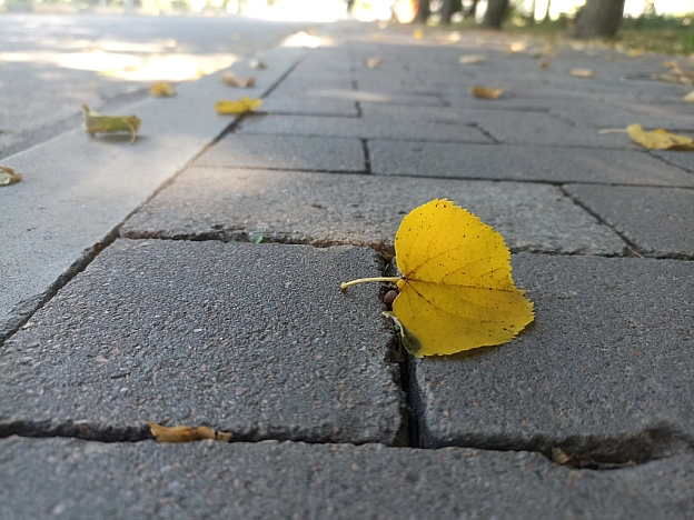 З першим днем осені 🍂 - Оксанка Ісаєва на we.ua
