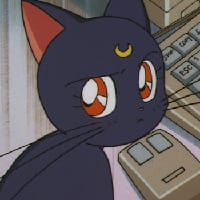 Зла редакторка на we.ua