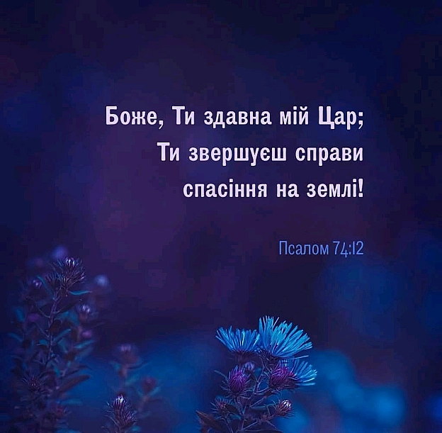 на we.ua