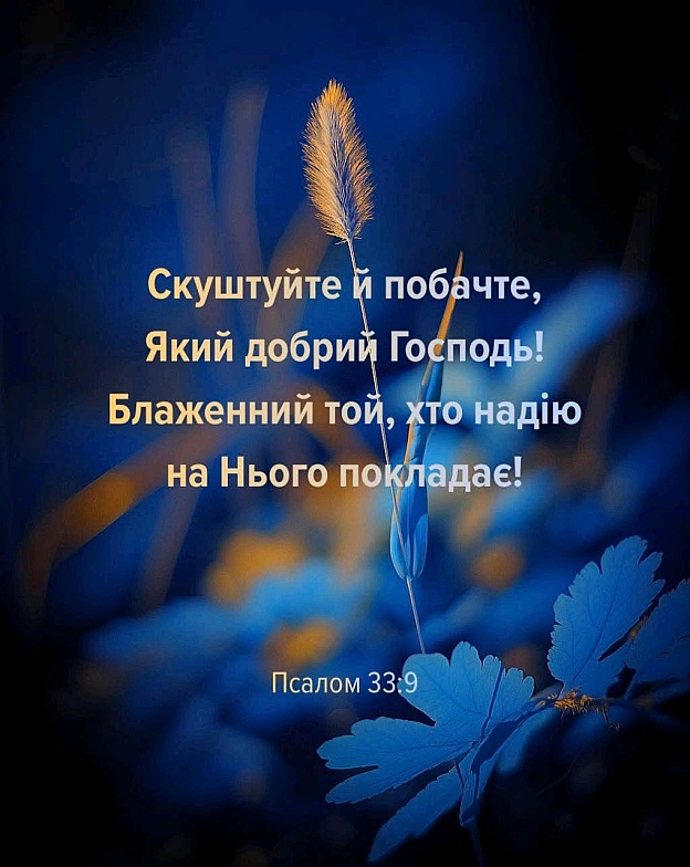 на we.ua