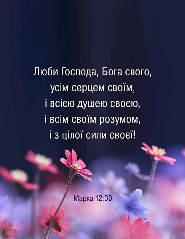 на we.ua