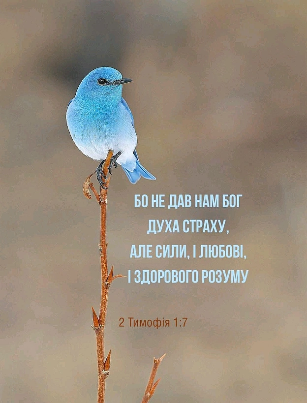 на we.ua