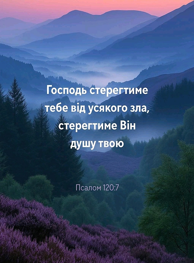 на we.ua