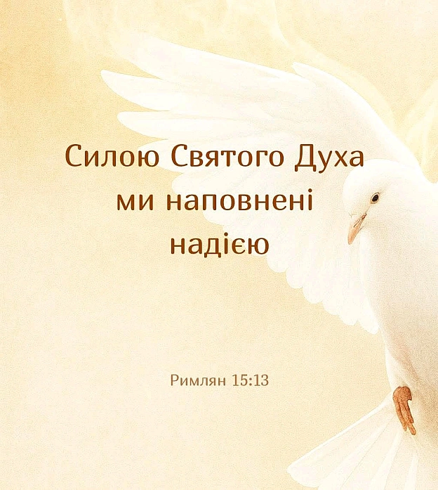 на we.ua