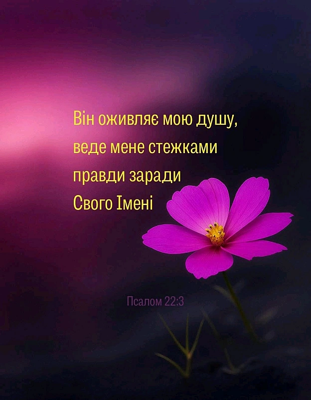 на we.ua