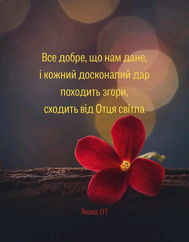 на we.ua
