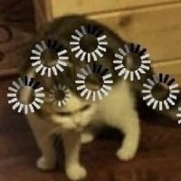 Нейромереживо на we.ua