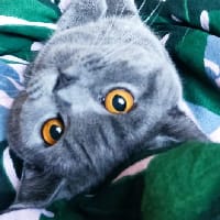 Дарина Реготун на we.ua