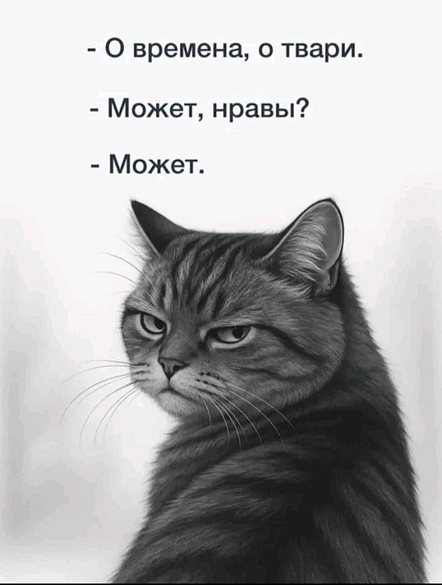 на we.ua
