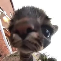 Іван Цяк на we.ua