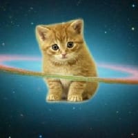 Друкарня з котиками^^ на we.ua