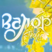 Команда перекладу «Валор» на we.ua